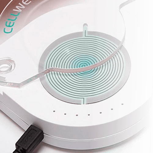 Epigenetic Hair Scan